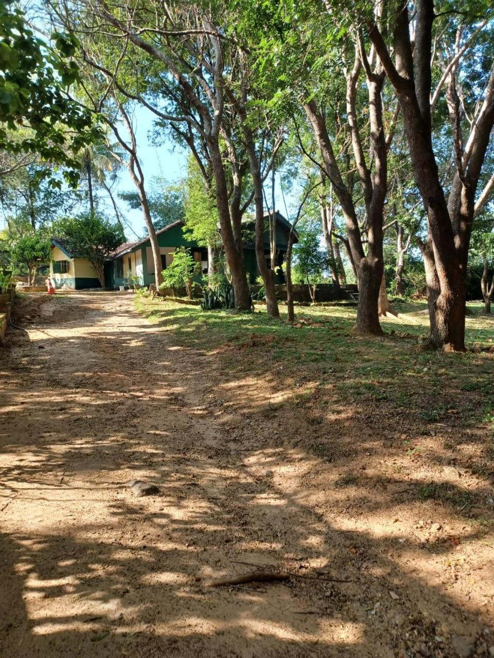 Udawalawe Wildlife & Nature Protection Bungalow Exterior foto